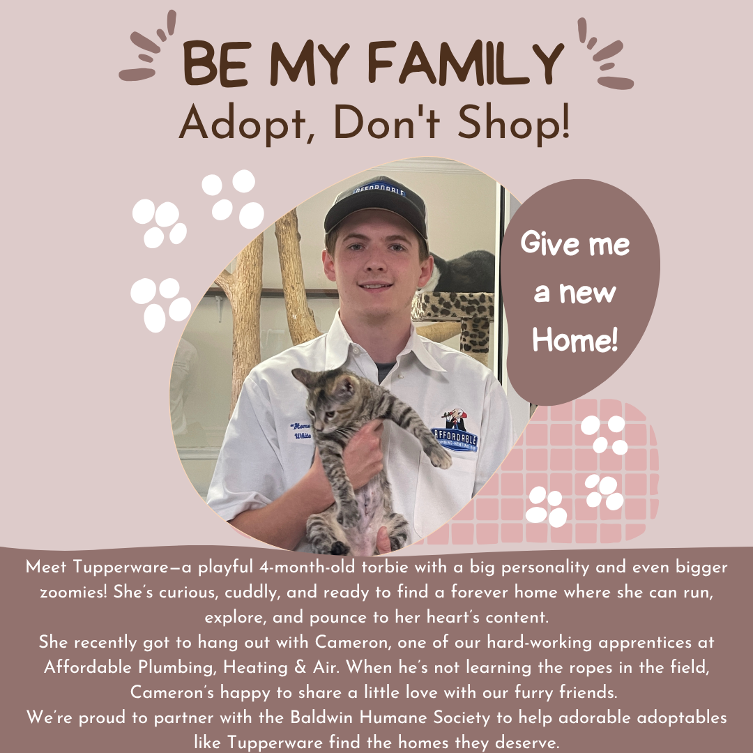 Pet of the Month 2