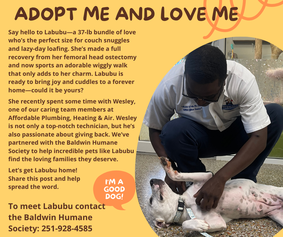 Pet of the Month 1